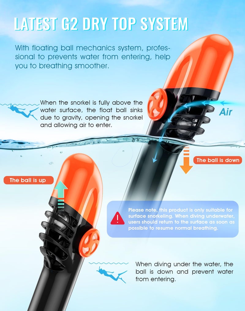 Greatever G2 Full Face Snorkel Mask with Latest Dry Top System,Foldable 180 Degree Panoramic View Snorkeling Mask with Camera Mount,Safe Breathing,Anti-Leak&Anti-Fog - Image 3